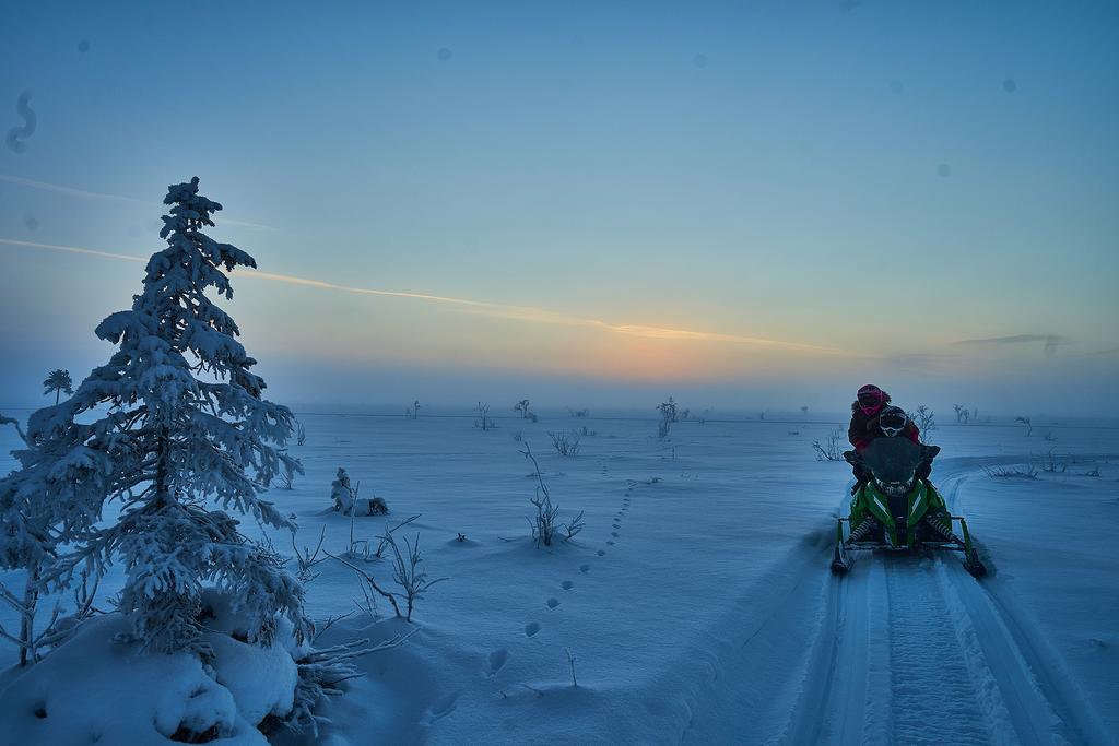 Lapland Guesthouse Kangos Eksteriør bilde